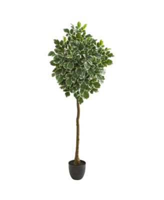 Nearly Natural - 6” Variegated Aralia Artificial Tree