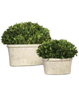 Uttermost - Preserved Boxwood Oval Domes, Set of 2