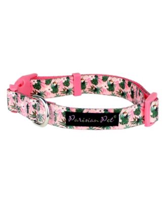 Parisian Pet - Tropical Toucans Dog Collar