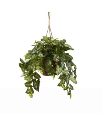 Nearly Natural - Nepthytis Hanging Basket