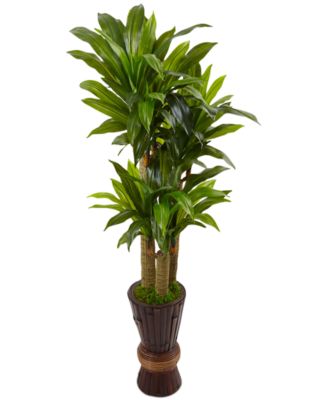 Nearly Natural - 5' Cornstalk Dracaena Artificial Plant in Tall Planter