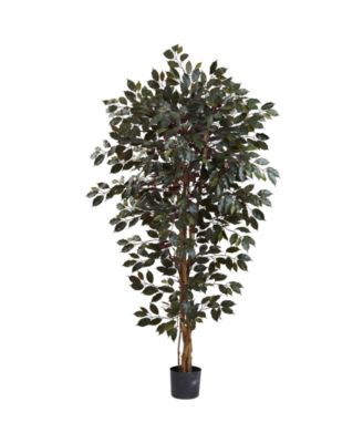 Nearly Natural - 6’ Artificial Capensia Ficus Tree