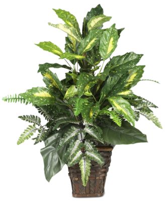 Nearly Natural - Mixed Greens Plant with Wicker Basket