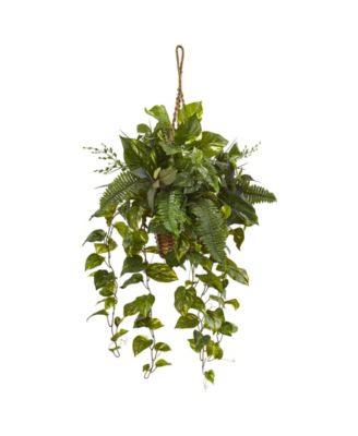 Nearly Natural - Mixed Pothos and Boston Artificial Fern in Hanging Basket