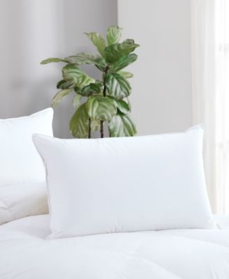 Avocado - 100% Cotton Cover Down Pillow, Standard